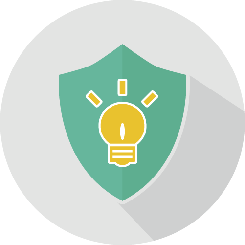 Intellectual property protection